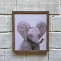 Quadro Zoo Elefante 8783