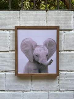 Quadro Zoo Elefante 8783